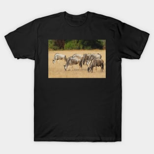 White Race Wildebeest Herd Grazing T-Shirt